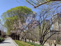 -元大都城垣遗址公园