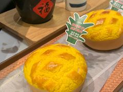 -羽鸽集·乳鸽专门店·地道顺德菜(岭南站店)