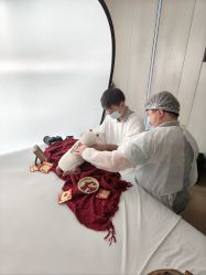 -玛瑞莎·儿童·亲子摄影(越秀店)