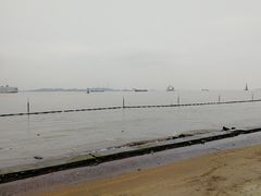 -南沙蒲洲花园