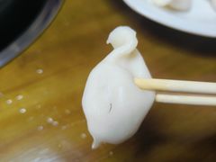 -田记自助海鲜饺子
