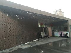 -陈家山荷花公园