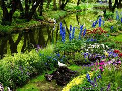 -上海共青森林公园