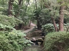 -灵谷景区
