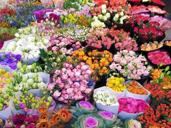 -双季花艺园艺市场(浦东店)