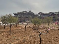 -仁寿山