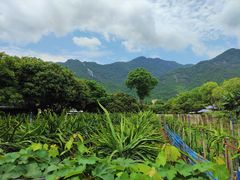 -竹语饭香·原生态农庄·烧鸡·竹筒饭·河鲜(森林海白水寨店)