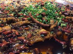 -新概念来凤鱼(璧山店)