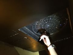 罗生门密室逃脱俱乐部(亚运村店)-秃鹫湾·推理大师沉浸式实景演绎推理剧场