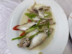-老三鱼仔店