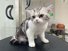 -熊小胖宠物生活馆(天华园店)