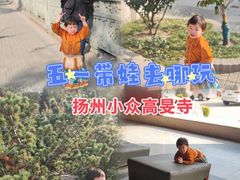-高旻寺
