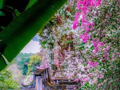 -深圳国际园林花卉博览园