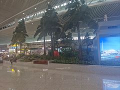 -青岛胶东国际机场