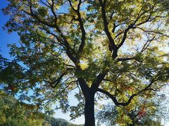 -天津盘山风景名胜区