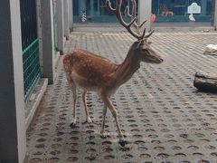 -西安秦岭野生动物园