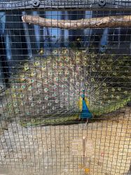 -酷嗒动物文化乐园(cutezoo西溪乐天城店)