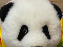 -震海贝烤贝·民俗特色店(延吉总店)