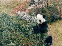 -无锡动物园·太湖欢乐园