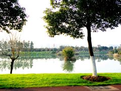 -艾溪湖湿地公园