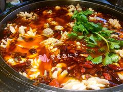 乌鱼-重庆乌鱼庄·龙滋鲜(青羊大道店)