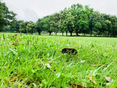 -东莞植物园