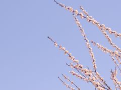 -山西医科大学(迎泽校区)