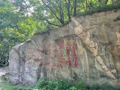 -少华山国家森林公园