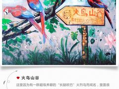 -东部华侨城