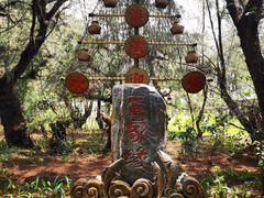 -北海金海湾红树林生态旅游区