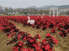 -盈香心动乐园