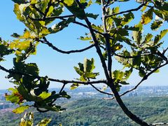 -沈阳辉山风景区