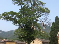 -无染寺