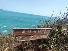 -鹿嘴山庄