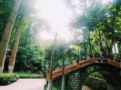 -火炉山森林公园
