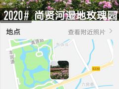 -尚贤河湿地