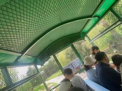 -五龙山野生动物王国
