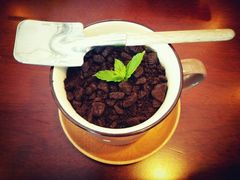 android_upload_pic-fishtank鱼缸咖啡(三山街店)