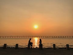 -宝安西湾红树林湿地公园