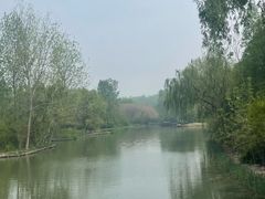 -溱湖国家湿地公园