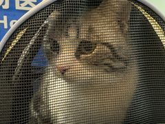 -全心全意连锁动物医院·特色中医诊疗(会城门分院)