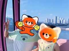 -琴岛之星摩天轮