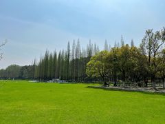 -宜兴龙背山森林公园