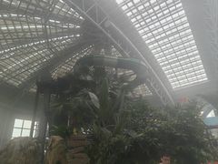 -杭州开元森泊度假乐园