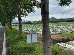 -光明小镇欢乐田园