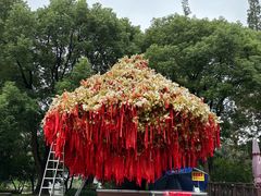 -狼山风景名胜区