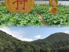 -广州市石门国家森林公园