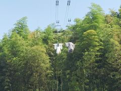 -蜀南竹海景区