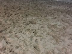 -热带风暴水上乐园(新镇路)
