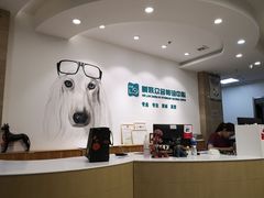 -美联众合动物医院·24h转诊中心